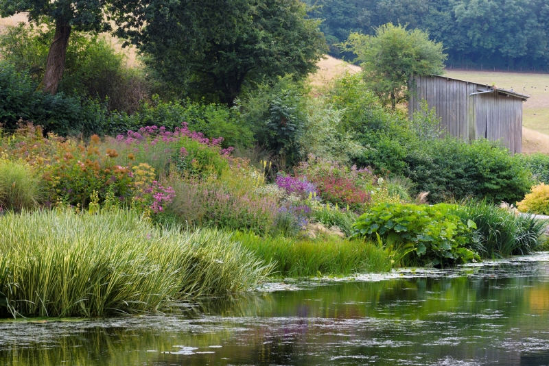 Am Brook Meadow